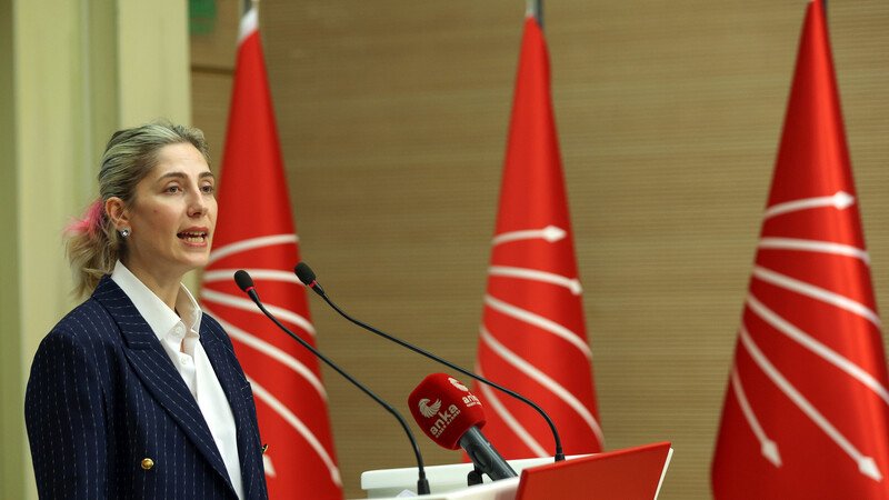 CHP Kültür ve Turizmden Sorumlu Genel Başkan Yardımcısı ve Gölge
