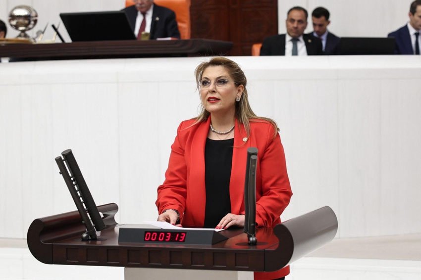 CHP Giresun Milletvekili Elvan Işık Gezmiş, kadın cinayetlerine ilişkin yaptığı