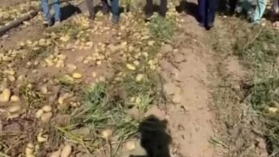 CHP Niğde Milletvekili Ömer Fethi Gürer, Niğde’de çiftçilerin sorunlarını dinledi.