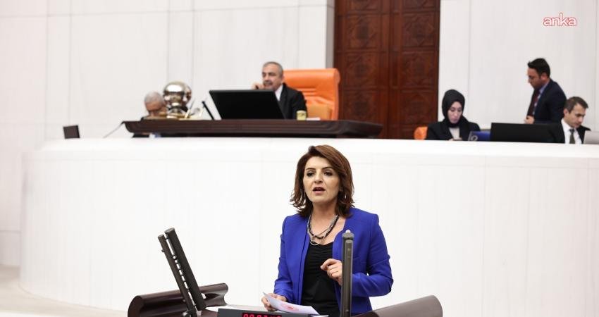 CHP Mersin Milletvekili Gülcan Kış, özellikle büyükşehirlerdeki fahiş kira ve