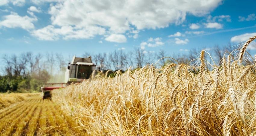 Tarım Ürünleri Üretici Fiyat Endeksi (Tarım ÜFE), Temmuzda bir önceki