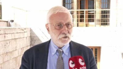 TBMM'de kurulan Milli Dayanışma Kardeşlik ve Demokrasi Komisyonu'nda görev alan