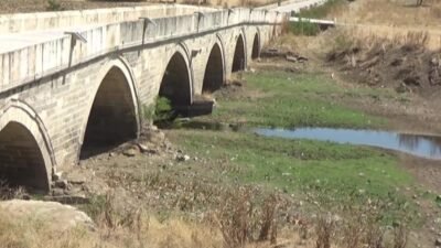 Edirne’de kuraklık nedeniyle Tunca Nehri’nden sulama yapılamaması ayçiçeği veriminde ciddi