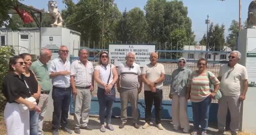 Osmaniye Belediyesi'ne ait hayvan barınağında hayvanseverler tarafından sahiplenilmek istenen iki