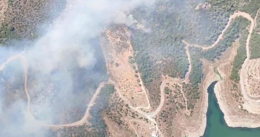 İzmir’in Seferihisar ilçesi Seferihisar barajı mevkiinde ormanlık alanda yangın çıktı.