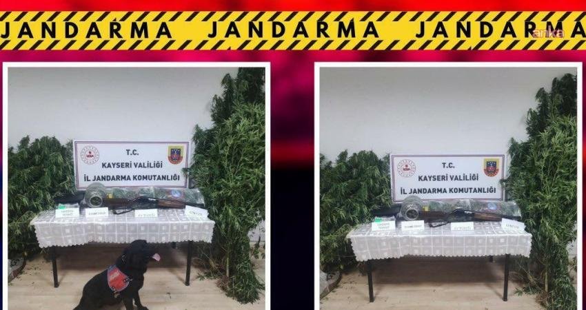 Kayseri İl Jandarma Komutanlığı ekipleri tarafından düzenlenen operasyonda 3 kilo
