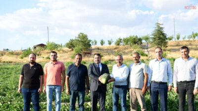 Kahramankazan Belediye Başkanı Selim Çırpanoğlu, coğrafi işaretli Kazan Kavunu’nda hasat