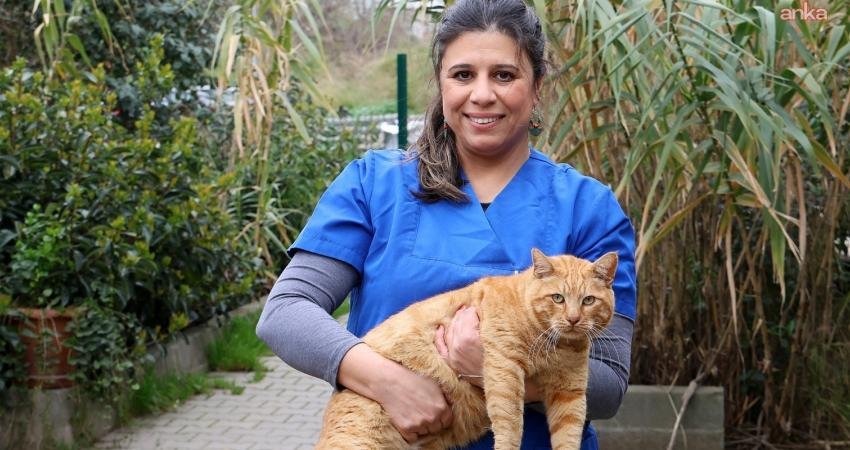 Yuvalanan sokak köpekleri için ücretsiz mama ve aşı desteği sağlayan