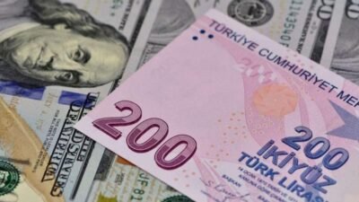 Bankacılık Düzenleme ve Denetleme Kurumunun (BDDK) haftalık bülteninde yer alan