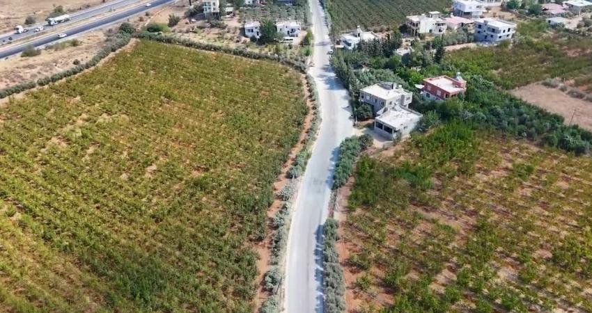 Mersin Büyükşehir Belediyesi Yol Yapım, Bakım ve Onarım Dairesi Başkanlığı