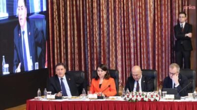 Milli Dayanışma Kardeşlik ve Demokrasi Komisyonu'nda konuşan CHP Genel Başkan Yardımcısı