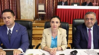 CHP Ankara Milletvekili Umut Akdoğan, Milli Dayanışma, Kardeşlik ve Demokrasi Komisyonunun