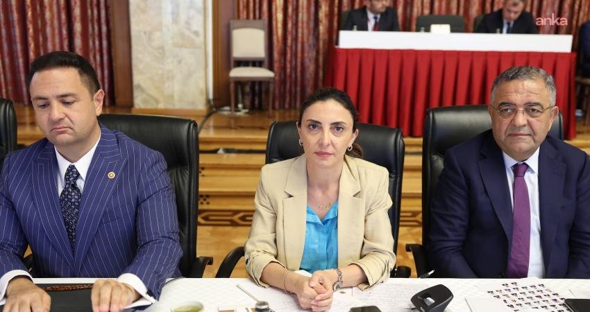 CHP Ankara Milletvekili Umut Akdoğan, Milli Dayanışma, Kardeşlik ve Demokrasi Komisyonunun