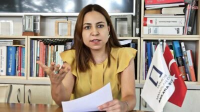 Türk Mühendis ve Mimar Odaları Birliği (TMMOB) Ankara Şubesi, kamuda
