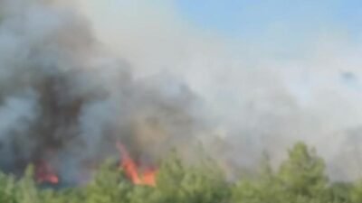 Muğla’nın Seydikemer ilçesine bağlı Kabaağaç Mahallesi Dip mevkisinde orman yangını