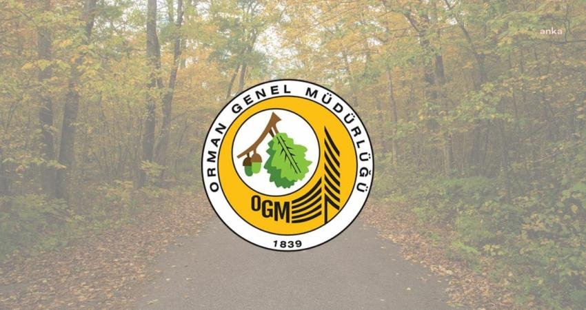 Orman Genel Müdürlüğü'nden yapılan açıklamada, "Çanakkale Gelibolu'da meydana gelen yangını