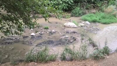 Osmaniye'nin Düziçi ilçesinde şehrin kanalizasyonunun Sabun Çayı'na dökülmesine ve etrafa