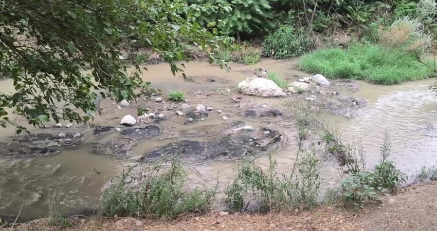 Osmaniye'nin Düziçi ilçesinde şehrin kanalizasyonunun Sabun Çayı'na dökülmesine ve etrafa