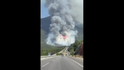  Denizli’nin Pamukkale ilçesine bağlı Cankurtaran Mahallesi Subeşiği mevkisinde ormanlık alanda