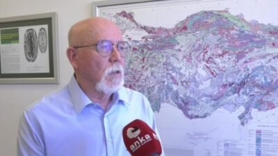 Ankara Üniversitesi Mühendislik Fakültesi Jeoloji Mühendisliği Bölümü Öğretim Üyesi Prof.