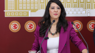 Emek Partisi (EMEP) Gaziantep Milletvekili Sevda Karaca, Unikuir Uluslararası İlişkiler