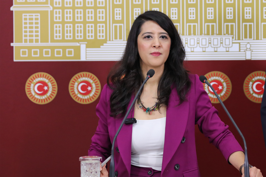 Sevda Karaca Enes Hocaoğulları’nın tutuklanmasını sordu: Düşüncelerini anlatan gençlere gözdağı politikası mı? Emek Partisi (EMEP) Gaziantep Milletvekili Sevda Karaca, Unikuir Uluslararası İlişkiler