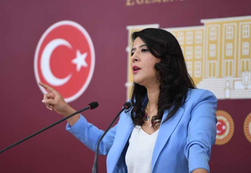 EMEP Milletvekili Sevda Karaca, Silifke’deki orman yangınında belediye itfaiyesinin köye