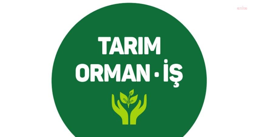 Tarım Orman-İş Sendikası tarafından yayımlanan Orman Yangınlarıyla Mücadele Raporu’nda, Türkiye’de