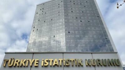 Türkiye İstatistik Kurumu (TÜİK) Yıllık Sanayi ve Hizmet İstatistikleri'nin 2024 yılı