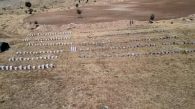 Arı yetiştiricileri için bal sağım sezonu başladı. Bu yıl iklim