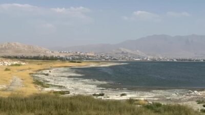 Van Yüzüncü Yıl Üniversitesi Coğrafya Bölümü Öğretim Üyesi Prof. Dr.