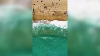 Yumurtalık Belediye Başkanı Erdinç Altıok, Belediye'nin iştiraki olan ve hizmet