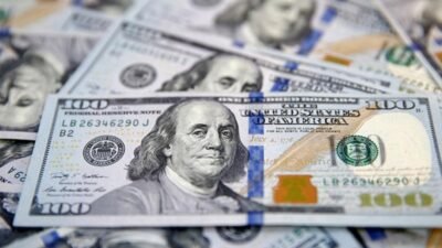 Türkiye Cumhuriyet Merkez Bankası’nın (TCMB) haftalık verilerine göre, yurt içi