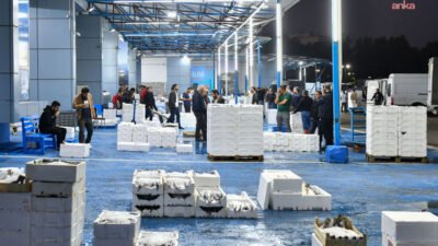 Denizlerde ve tatlı sularda 15 Nisan'da başlayan genel av yasağı,