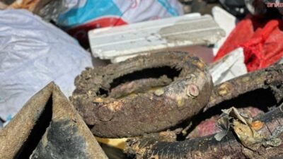 Uluslararası Kıyı Temizleme Günü kapsamında, TURMEPA öncülüğünde, İzmir Büyükşehir Belediyesi,