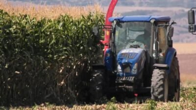 Ankara Büyükşehir Belediyesi (ABB), ATA Çiftliği’nde (BAKAP) mayıs ayında ekimi