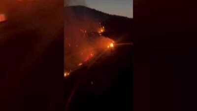 Aydın’ın Söke ilçesi Sazlıköy yakınlarında makilik ve bozuk ormanlık alanda