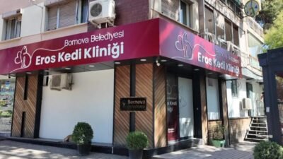 Bornova Belediyesi’nin kısa süre önce hizmete açtığı Eros Kedi Kliniği,