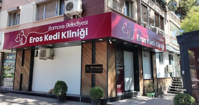 Bornova Belediyesi’nden modern kedi kliniği: Eros’un adı yaşatılıyor Bornova Belediyesi’nin kısa süre önce hizmete açtığı Eros Kedi Kliniği,