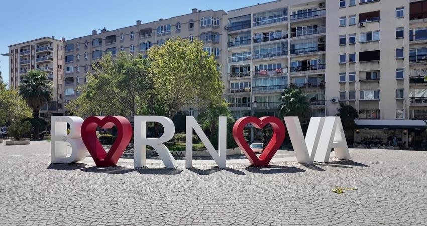 Bornova sakura ve tarçın kokacak Bornova Belediyesi, kuruyan ağaçların yerine kokulu çiçeklere sahip sakura ve