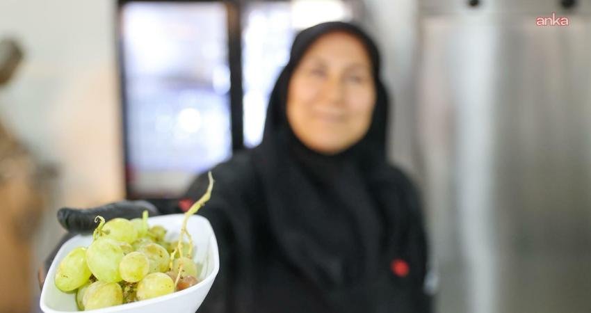 Buca’da toprakta başlayan yolculuk halkın sofrasında son buluyor Buca Belediyesi, Kaynaklar'daki üzüm bağından toplanan ürünleri üç Kent Lokantası'nda