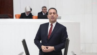 CHP Grup Başkanvekili Ali Mahir Başarır, Cumhurbaşkanı Recep Tayyip Erdoğan'ın