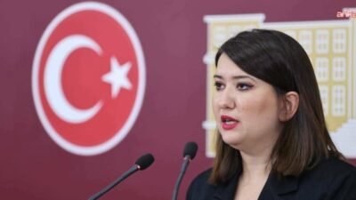 CHP Genel Başkan Yardımcısı Gökçe Gökçen, Ankara 3. Asliye Hukuk