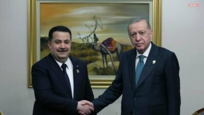 Cumhurbaşkanı Recep Tayyip Erdoğan, İslam İşbirliği Teşkilatı ve Arap Ligi