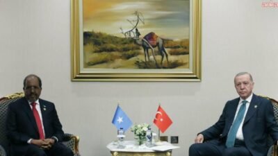 Cumhurbaşkanı Recep Tayyip Erdoğan, İslam İşbirliği Teşkilatı ve Arap Ligi