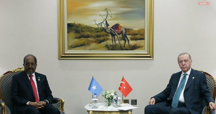 Cumhurbaşkanı Recep Tayyip Erdoğan, İslam İşbirliği Teşkilatı ve Arap Ligi