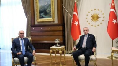 Cumhurbaşkanı Recep Tayyip Erdoğan, Türkiye Büyük Millet Meclisi (TBMM) Başkanı