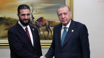 Cumhurbaşkanı Recep Tayyip Erdoğan, İslam İşbirliği Teşkilatı ve Arap Ligi