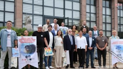 Foça, nesli tükenme tehlikesi altında olan Akdeniz foklarının korunması için