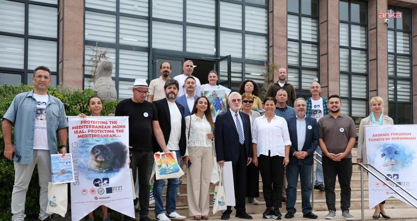 Foça’da Akdeniz fokları için uluslararası buluşma Foça, nesli tükenme tehlikesi altında olan Akdeniz foklarının korunması için